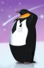 fan%20penguins_4adef1a408802.jpg