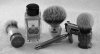 SOTD_012615.jpg