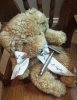 SOTD_012715.jpg