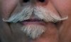 stache.jpg