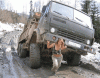 strong.gif
