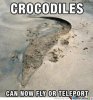 crocodiles_o_840397.jpg