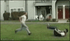 flipper.gif