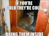 cold.JPG