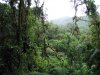 foto-monteverde-01.jpg
