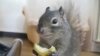 upload_2015-3-26_18-7-44.jpeg