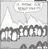 Cold-day.gif
