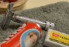SOTD_040515.jpg