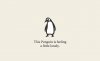 Lonely-Penguin.jpg