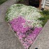 ImageUploadedByTapatalk1428974419.158397.jpg