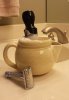 SOTD_042715.jpg