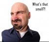 SafariScreenSnapz048.jpg