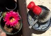 IMG_1980-1.jpg