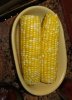 Cob Corn.JPG