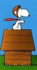 100px-Snoopy_wwi_ace_lb.jpg