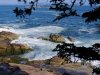 Acadian Granite Coast.jpg