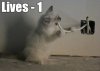 shave electrocat.jpg