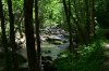Elkmont1.jpg