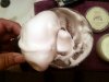 20150703_090638.jpg