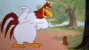 foghorn2.jpg