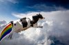 rainbow-cow.jpg