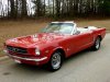 Mustang.jpg