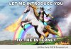 funny-introduce-you-internet-horse-unicorn-cat-pics.jpg