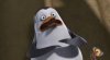upload_2015-7-12_20-32-50.jpeg