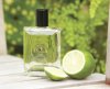 West-Indian-Lime-Cologne-Mood-Visual-Copy.jpg