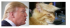 upload_2015-7-17_21-36-32.png