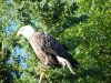DSCF2553.JPG