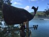 whale.JPG