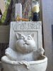 Cat.JPG