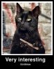 zinteresting2.jpg