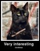 zinteresting.jpg