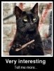 zinteresting.jpg