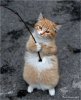ImageUploadedByTapatalk1440628299.277382.jpg
