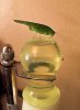 grasshopper.jpg