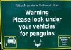 Cape-Town-Boulders-Penguins.jpg