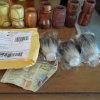 3badgers910_04.jpg