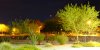 DSCF0639.JPG