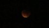 lunareclips.JPG