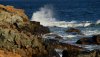 Otter Point 2015.jpg