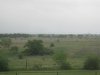 IMG_2194.jpg