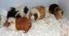 DSCF1057-1_800x420.JPG