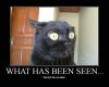 seen_notseen-1.jpg