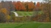 MapleviewNumber11a.jpg