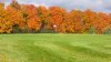 MapleviewNumber16.jpg