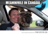 MOOSEcanada.jpeg