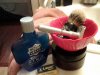 20151109_085359.jpg